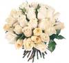 Roses_blances
